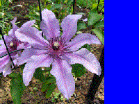 imageCarre3