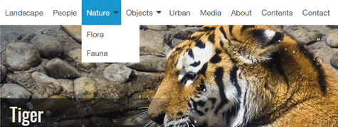 tiger-top-navigation.png