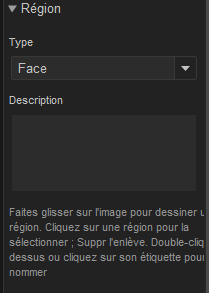 RegionPane.png